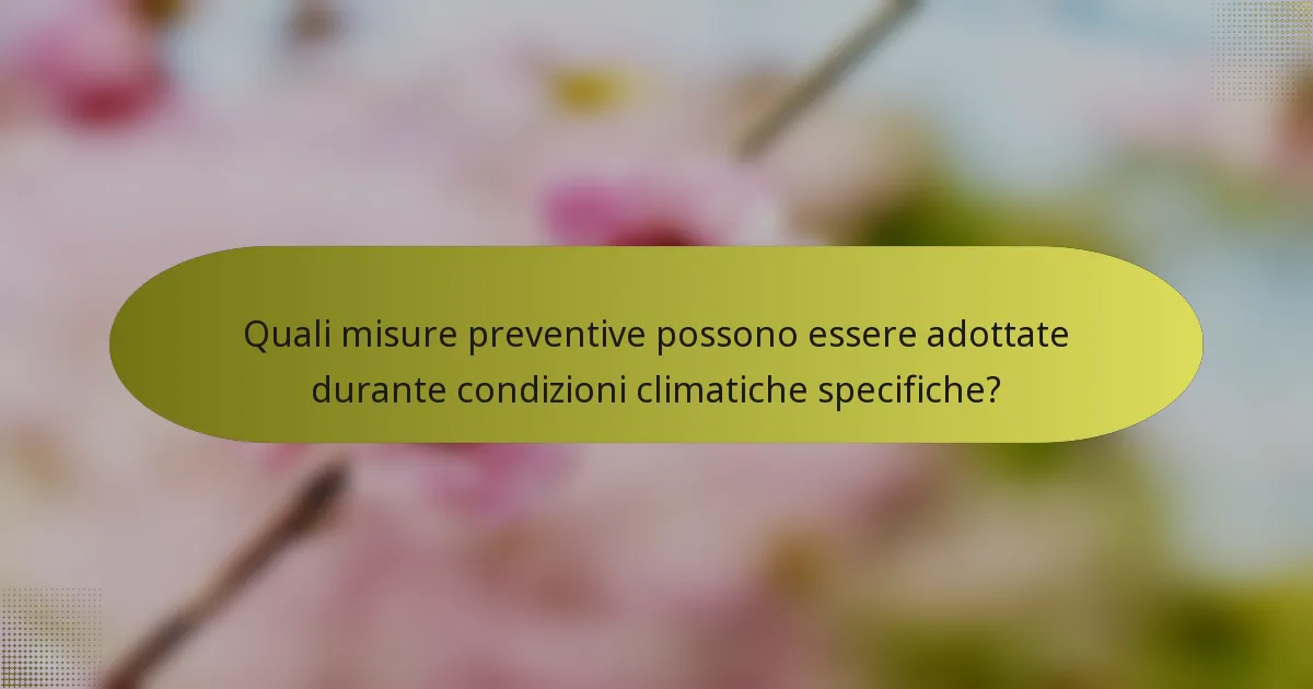 Quali misure preventive possono essere adottate durante condizioni climatiche specifiche?