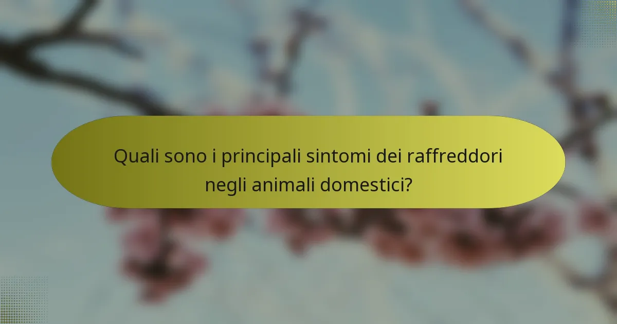 Quali sono i principali sintomi dei raffreddori negli animali domestici?