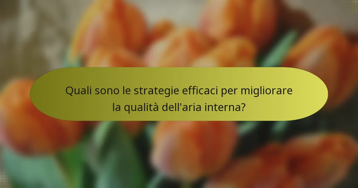 Quali sono le strategie efficaci per migliorare la qualità dell'aria interna?